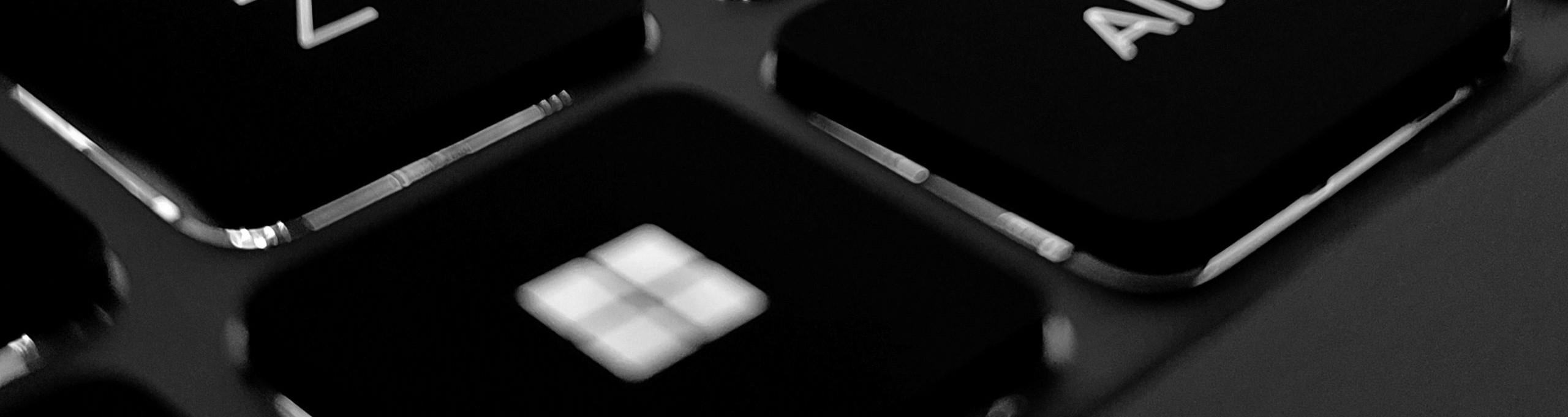 aconitum-9IqiV6Rt0sg-unsplash