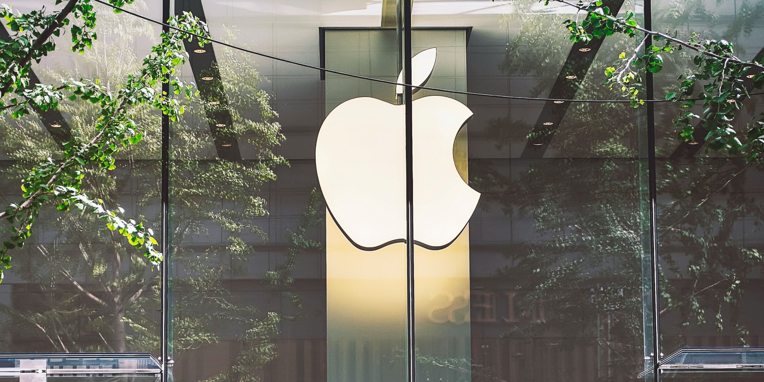 zhang-kaiyv-dhiOkqjewAM-unsplash